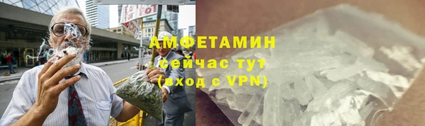 прущие грибы Ижевск