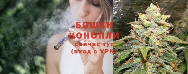 шишки Россошь