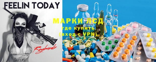 прущие грибы Ижевск