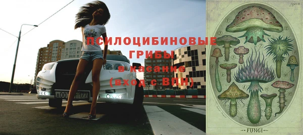 шишки Россошь