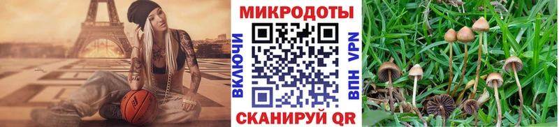 купить закладку  Артём  Псилоцибиновые грибы мухоморы 